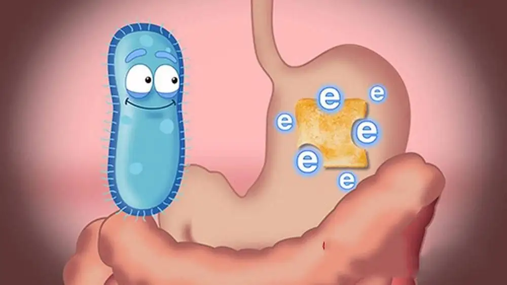 Sữa non hay men vi sinh – Đâu là lựa chọn tốt hơn cho hệ miễn dịch?